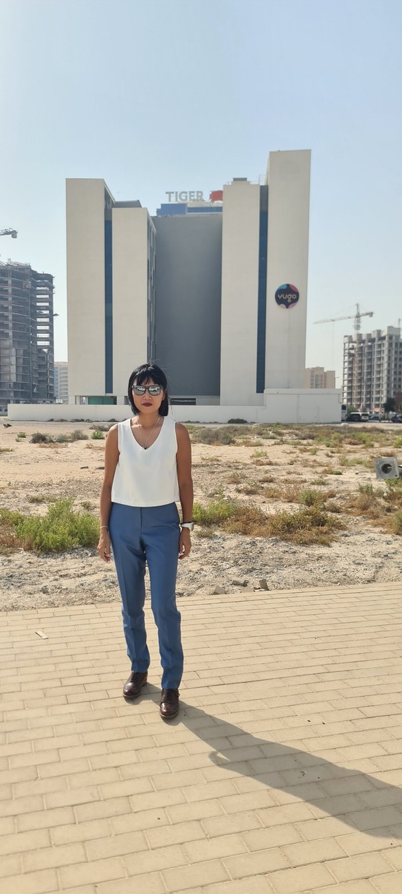 Ellen visiting a Dubai development site